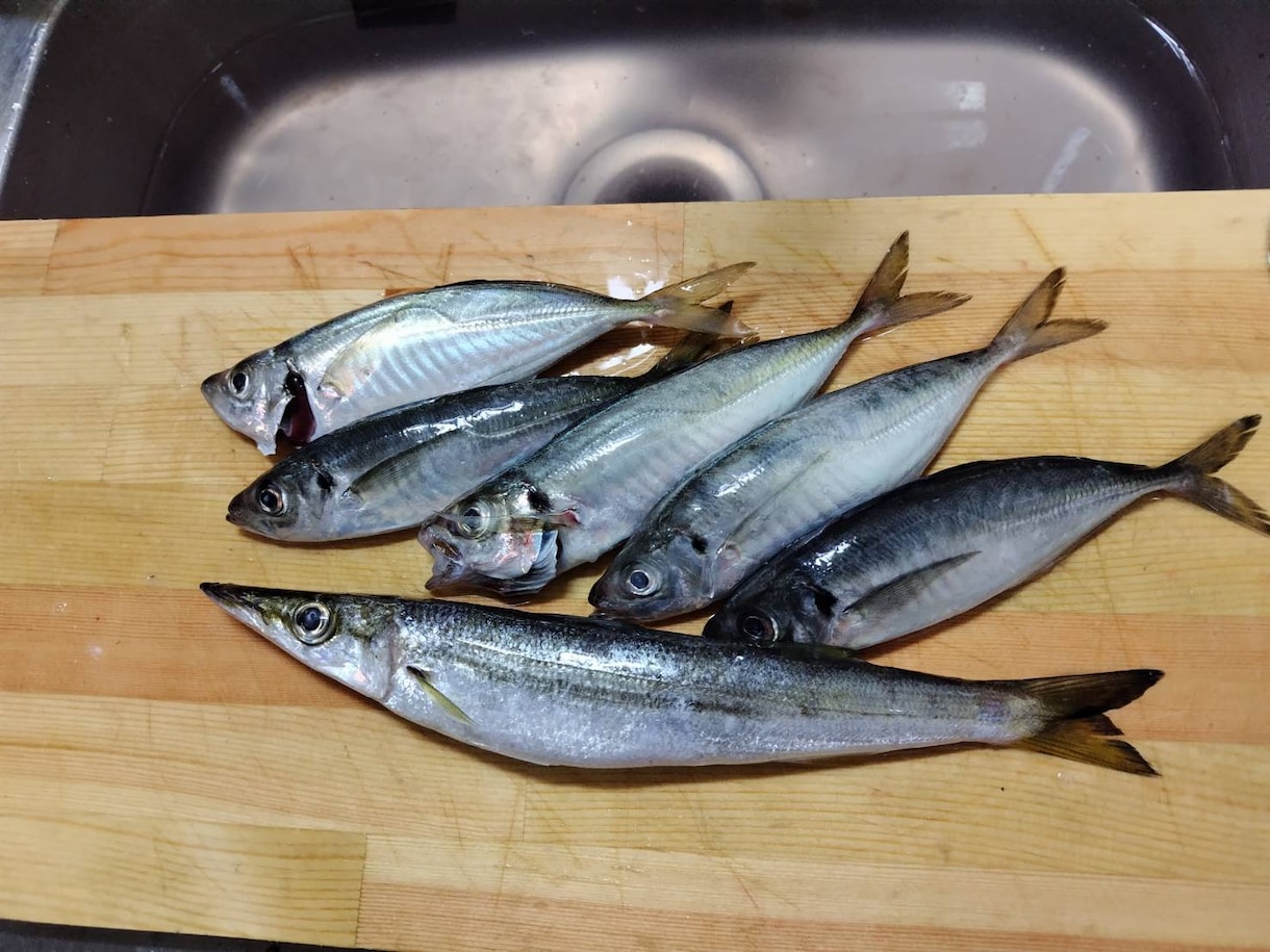 釣りを始めてみたい方の質問お受けします 釣具屋勤務による生の情報をお届けします。 イメージ4