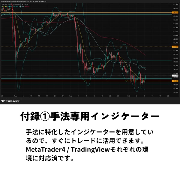 負けないFX逆張り手法ガイド【完全公開】します Ma Method15年のトレードをこの1冊にまとめました イメージ4