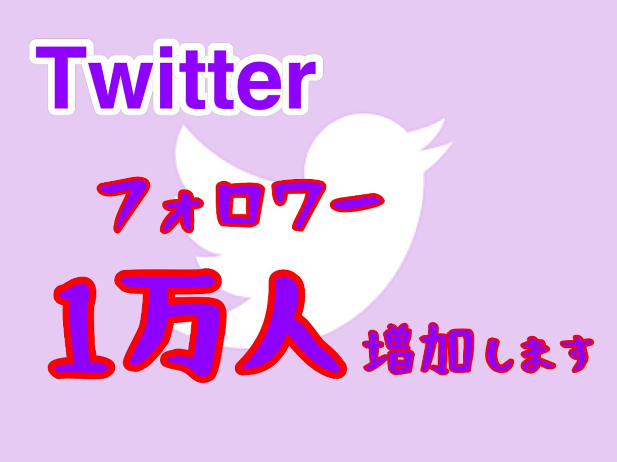 究極！Twitterフォロワー増加１万人増加します 気取りたい方や副業の目的の方必見サービスです。 イメージ1