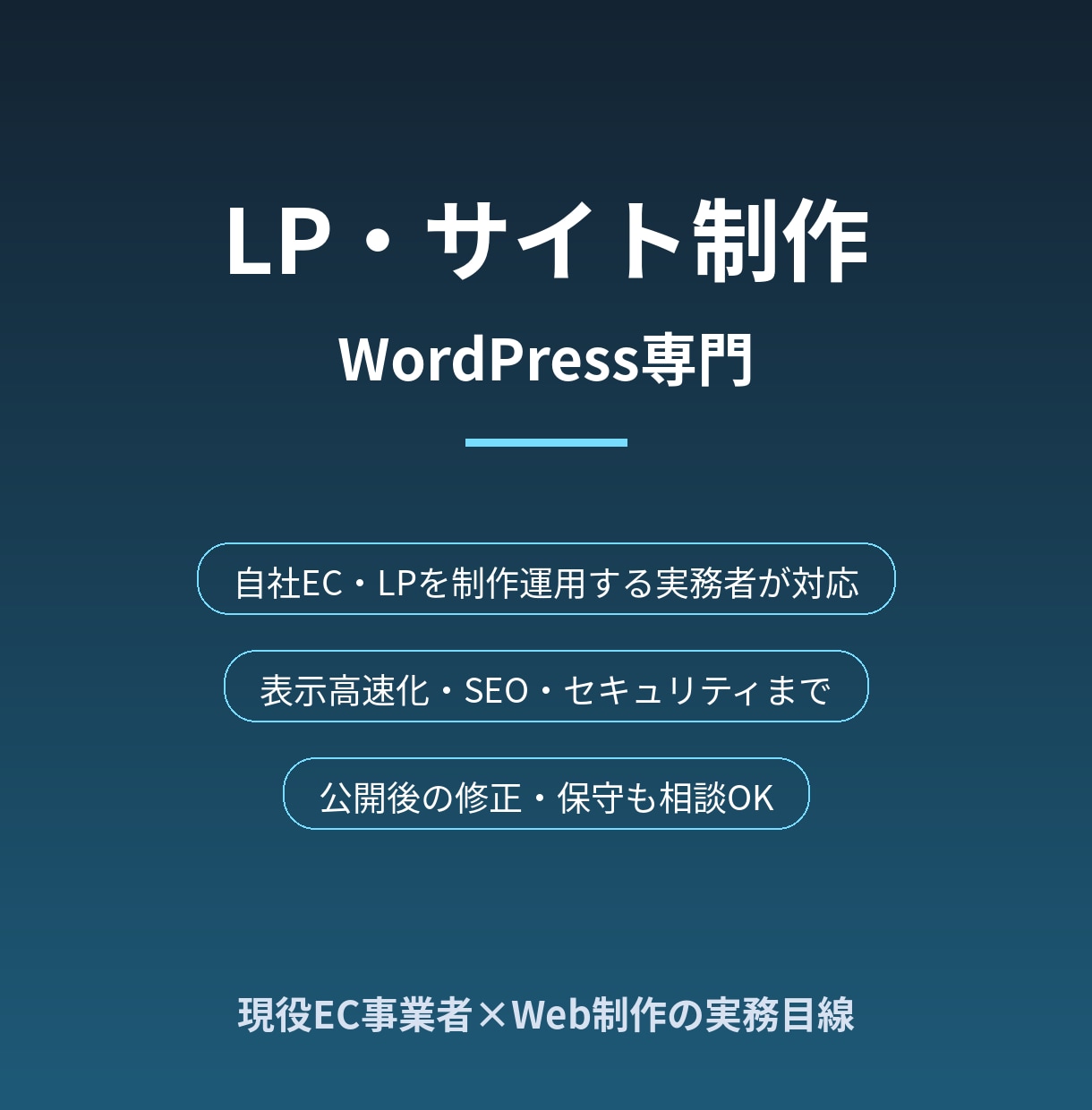 WordPressで成果につながるLPを作ります 自社EC・LPを日々運用する実務者が制作から保守まで対応 イメージ1