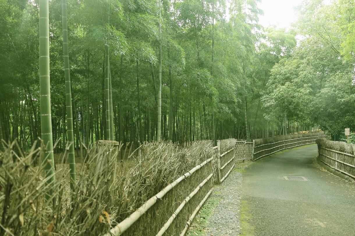 風景、観光地、メニューなどを撮影しいます 撮影場所に行った気持ちになろう イメージ6
