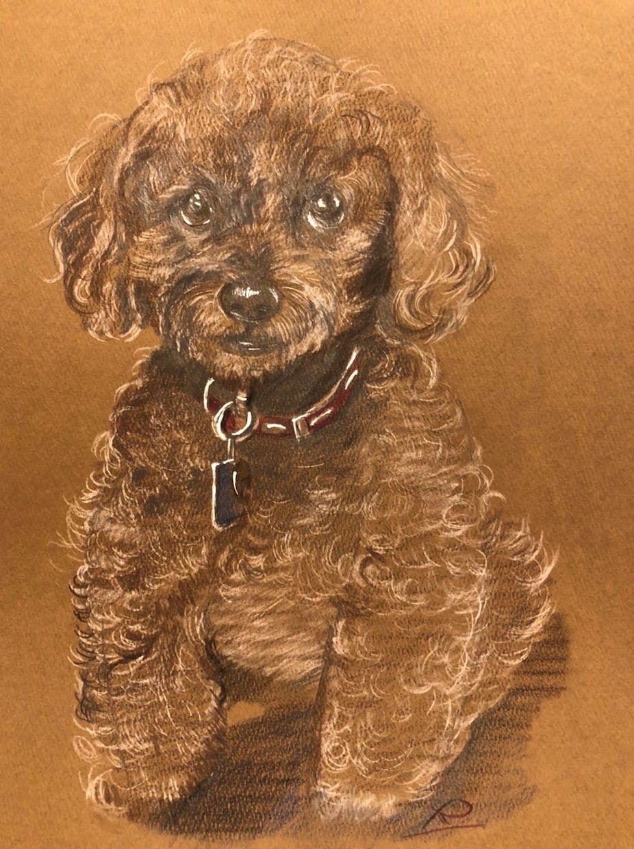 写真から鉛筆・色鉛筆でデッサン風似顔絵を描きます 人生に絵を残そう。こだわり手書き、加工一切なし。原画郵送。 イメージ5