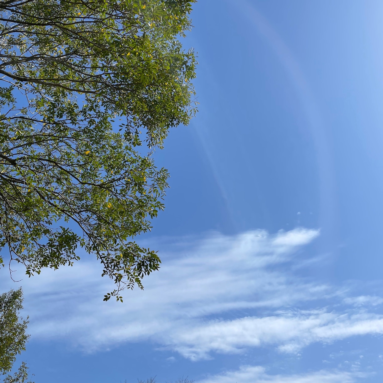空や風景などの写真提供します 空などの日常のひとコマなどの宝物 イメージ5