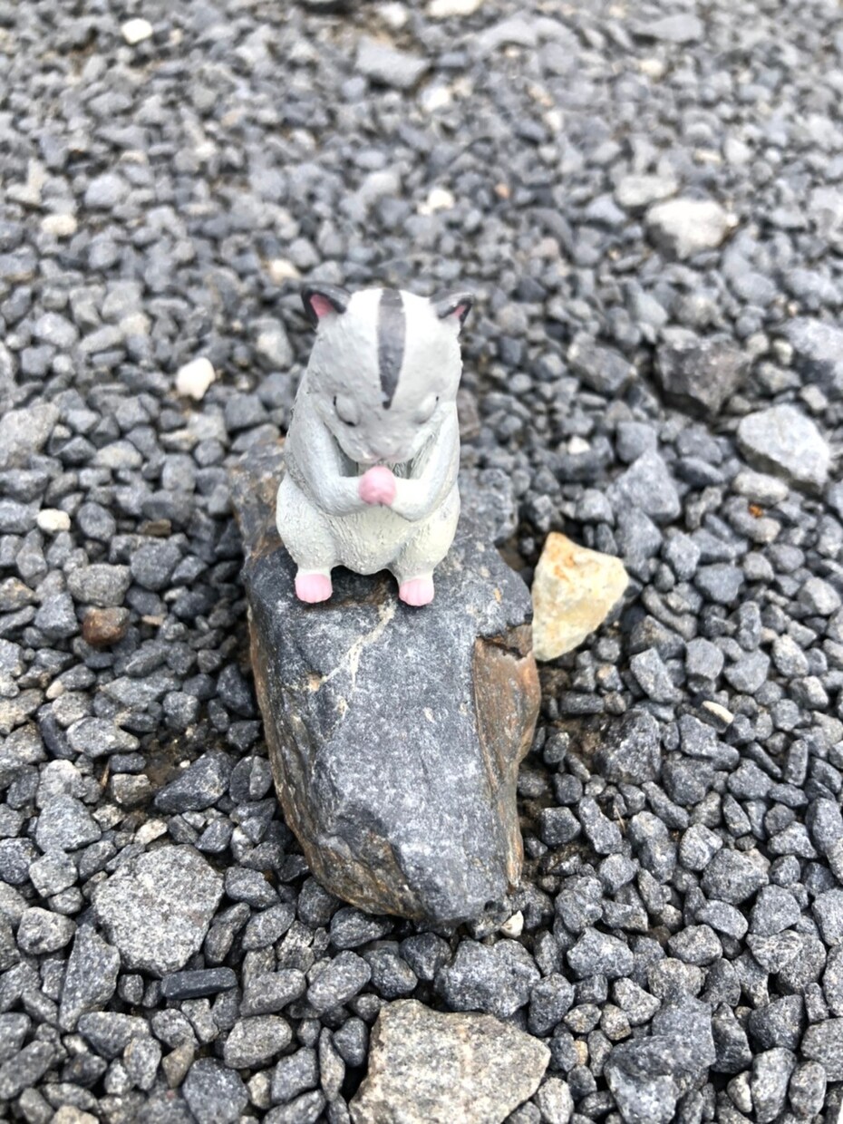 自己肯定感を高めるお手伝いをします あなたの良いところを一緒に見つけませんか？ イメージ8
