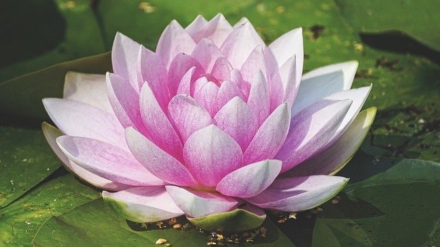 あなたの心の声を聴いて断捨離します ～何分でも大丈夫です！心の声を聴いて断捨離しませんか？～ イメージ5