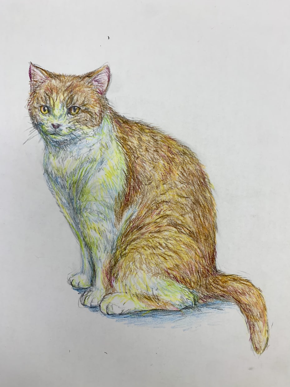 カラフルな動物イラストを制作します 色鉛筆で描く、カラフルで柔らかい雰囲気の動物イラストです。 イメージ2