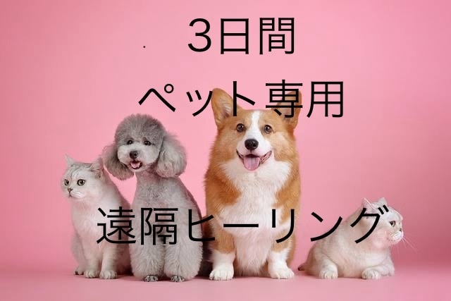 ペットへ遠隔ヒーリングをお届けします 療養中のペットに癒しを提供致します イメージ1