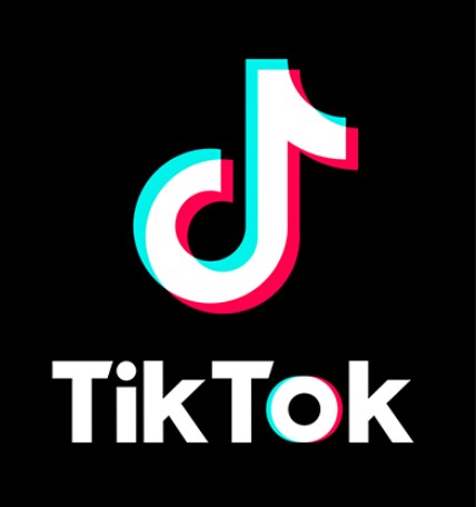 Tiktokの広告運用代行を承ります Tiktok両OSの広告運用代行 イメージ1