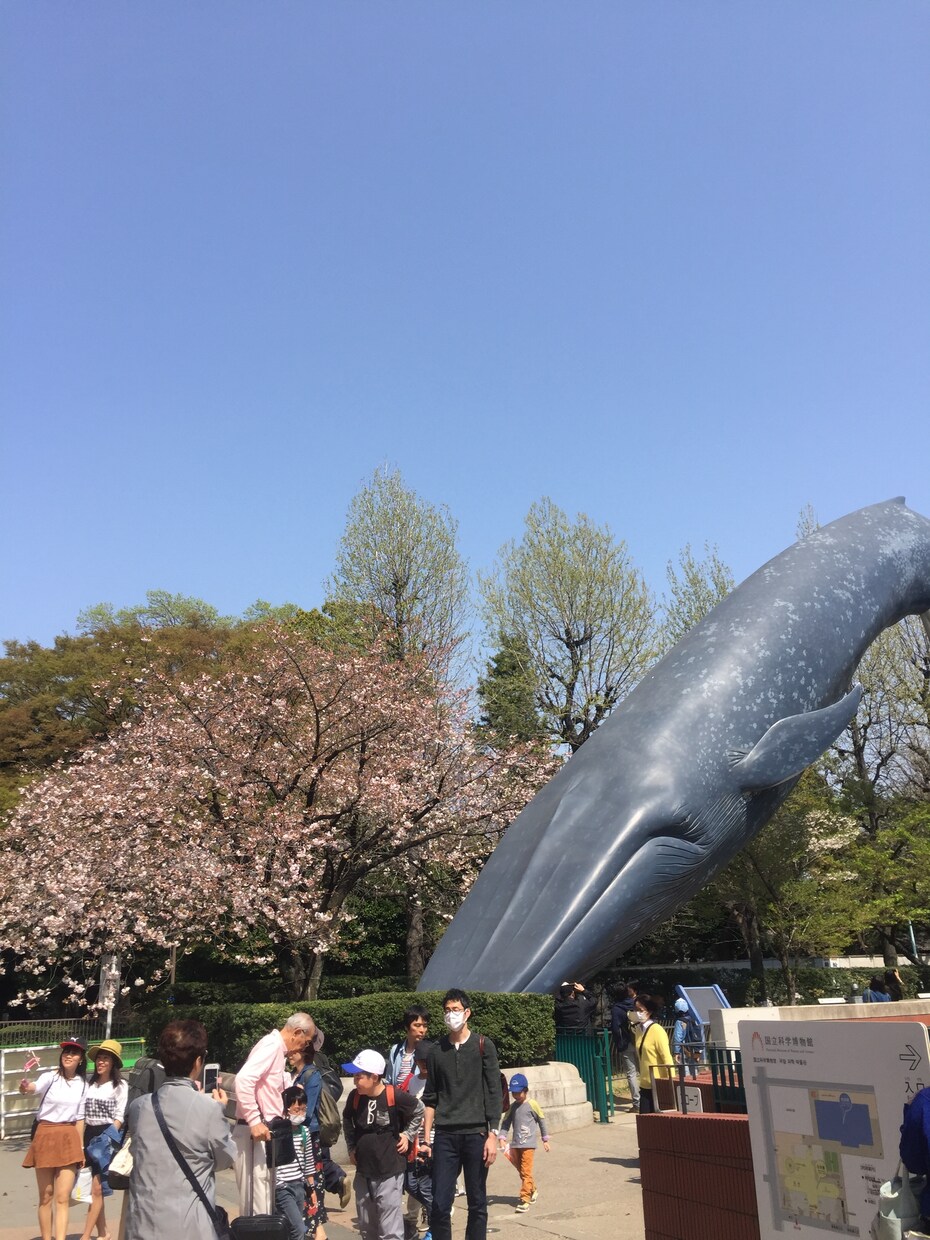 進路についてのお悩み相談受けます 天王山を前に、進路や学習方法について悩んでいる方にオススメ！ イメージ1