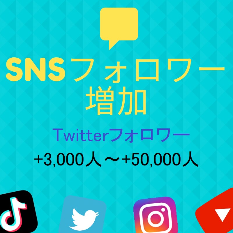 Twitterのフォロワー3000人以上増やします 【保証有・減少率低】希望のアカウントのフォロワー増やします イメージ1