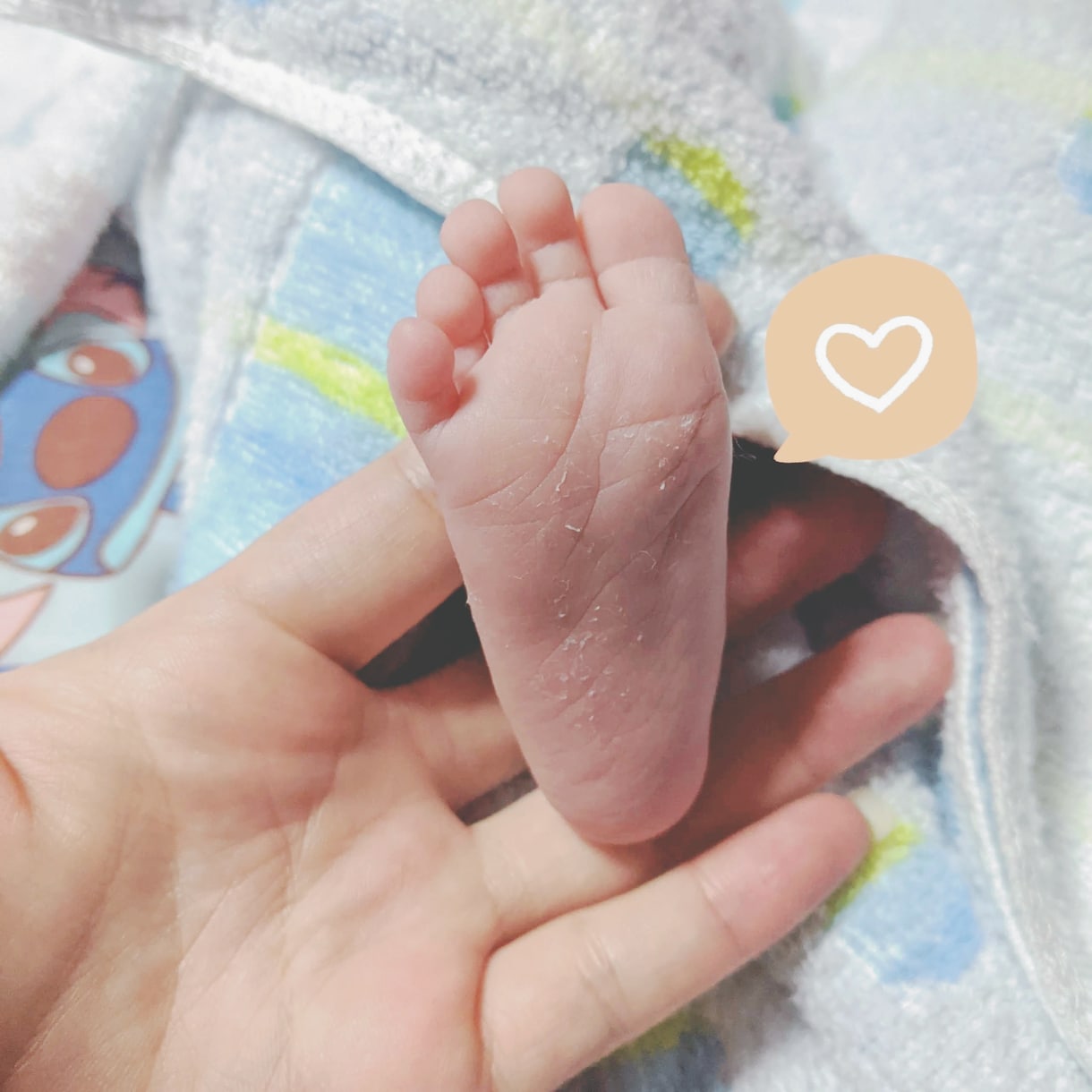 乳幼児期の子育てファミリー全ての方を応援します あなたの『笑顔』は子供たちに【生きる喜び】を与える素敵な魔法 イメージ8