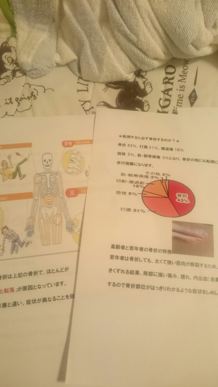 簡単な医療介護マニュアル作成します 健康指導で配布したいマニュアルを作成します イメージ1