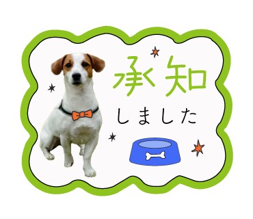 愛するペットやお子さんをLINEスタンプにします LINEスタンプ押しまくりましょう イメージ3