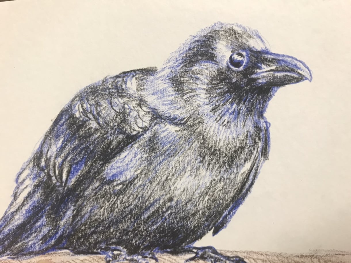 ペットのイラストを描きます あなたのお気に入りのペットを好きな色で残す イメージ2