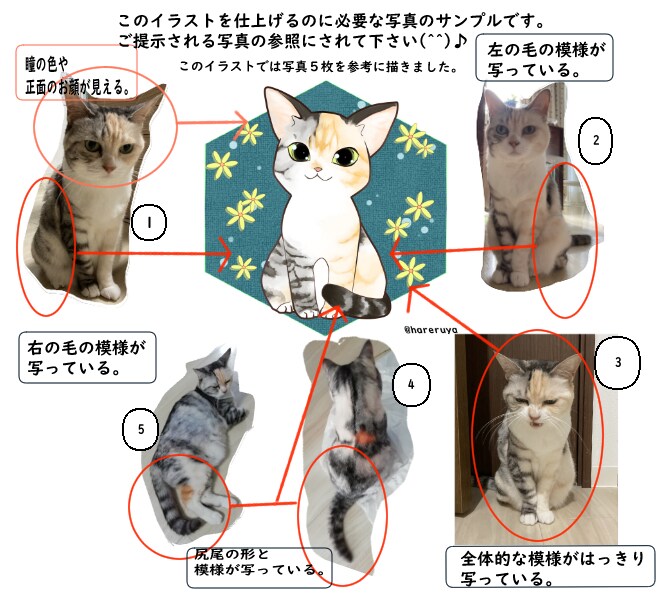 可愛いペットの似顔絵SNSアイコン描きます プレゼントやグッズ、返礼品、ブログ等用途多彩に承ります！ イメージ4