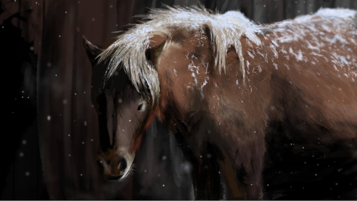 生き物中心に描きます より写真に忠実に、リアルな絵を描きます イメージ1