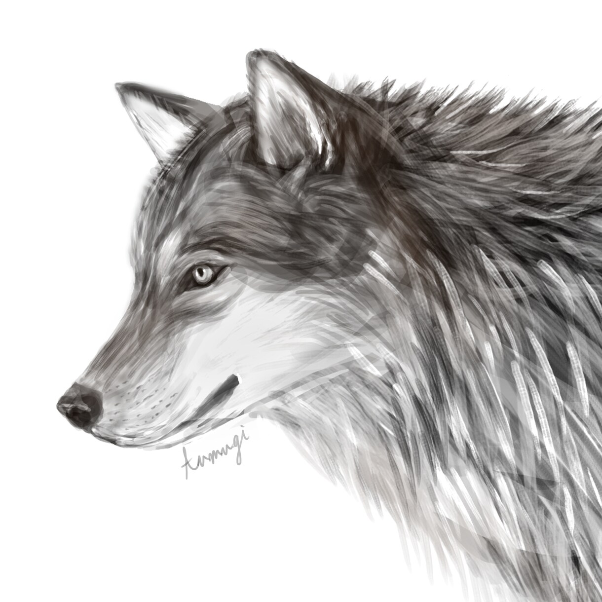 可愛い動物のイラスト描きます 動物のデフォルメやロゴデザインまでお任せください イメージ2