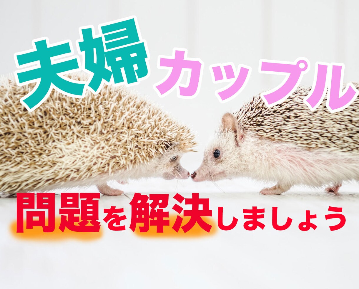 夫婦恋人間に問題を感じていませんか？相談に乗ります 解決メソッドで不安や課題を解決しましょう イメージ1
