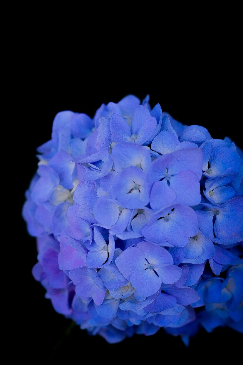 あなたの希望する写真を撮ります 実際にその場にいるような写真を撮ります！ イメージ6