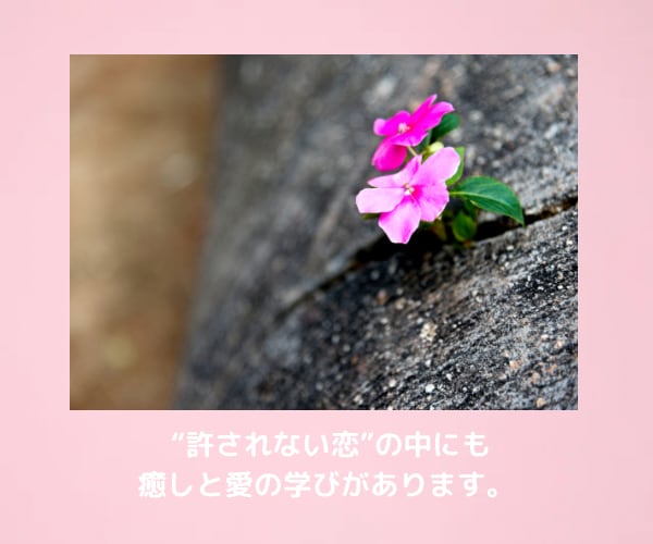 婚外恋愛鑑定♥相手の本心♥将来♥恋の行方を視ます ♥魂が惹かれ合う本気の恋♥相手の言動の意味・他に相手がいる？ イメージ8