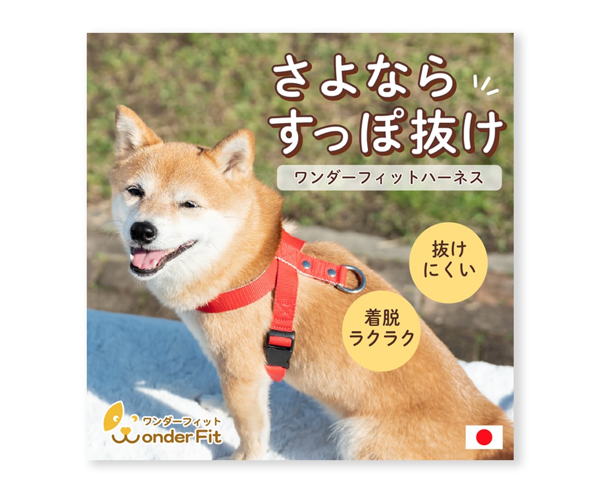 バナー・WEB画像・SNS画像デザインします クリック率をあげる画像制作致します☺︎ イメージ5