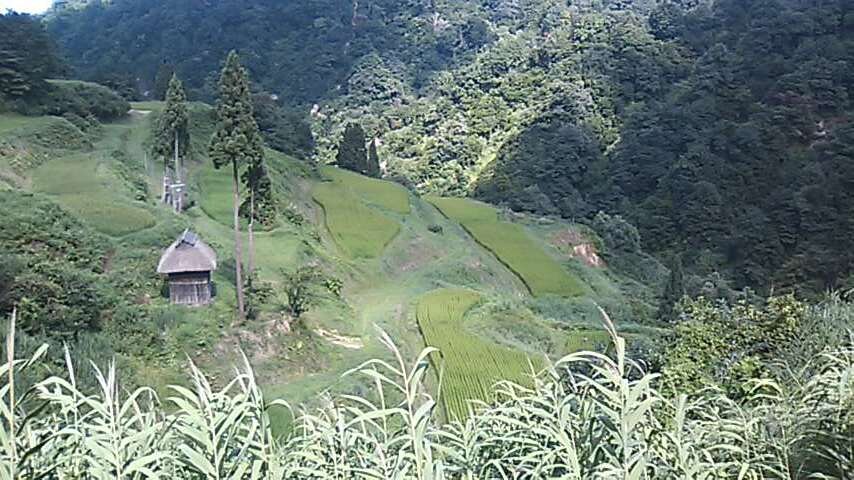 夢占い、貴方の見た夢を占います 夢は何かを貴方に問いかけている。その夢の意味、占いませんか？ イメージ1