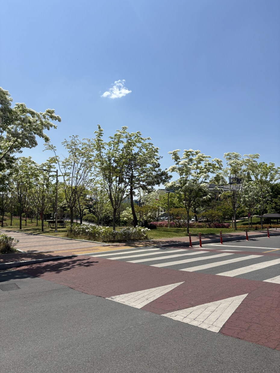 韓国留学を考えている方のお手伝いをします 気になること一緒に解決しましょう イメージ1