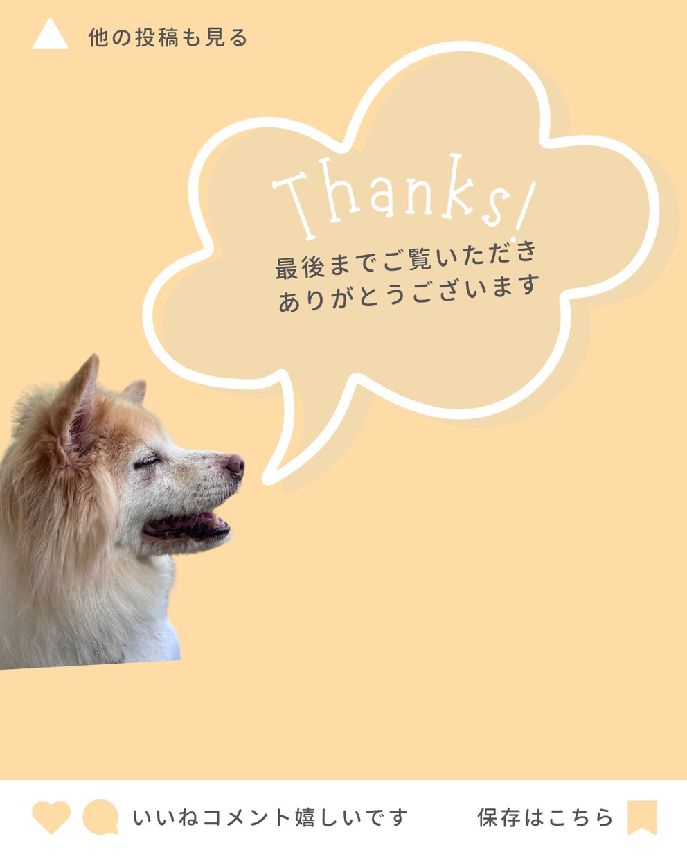 高品質！効果抜群！バナーデザイン作成します 効果的なバナーで集客につながるお手伝いをさせてください！ イメージ10