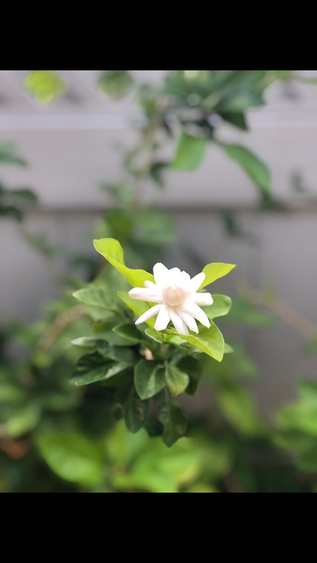 あなたのお話し、ゆったりとお聴きします あなたが人生を明るく、軽やかに、悠々と歩む♫お手伝いします イメージ9