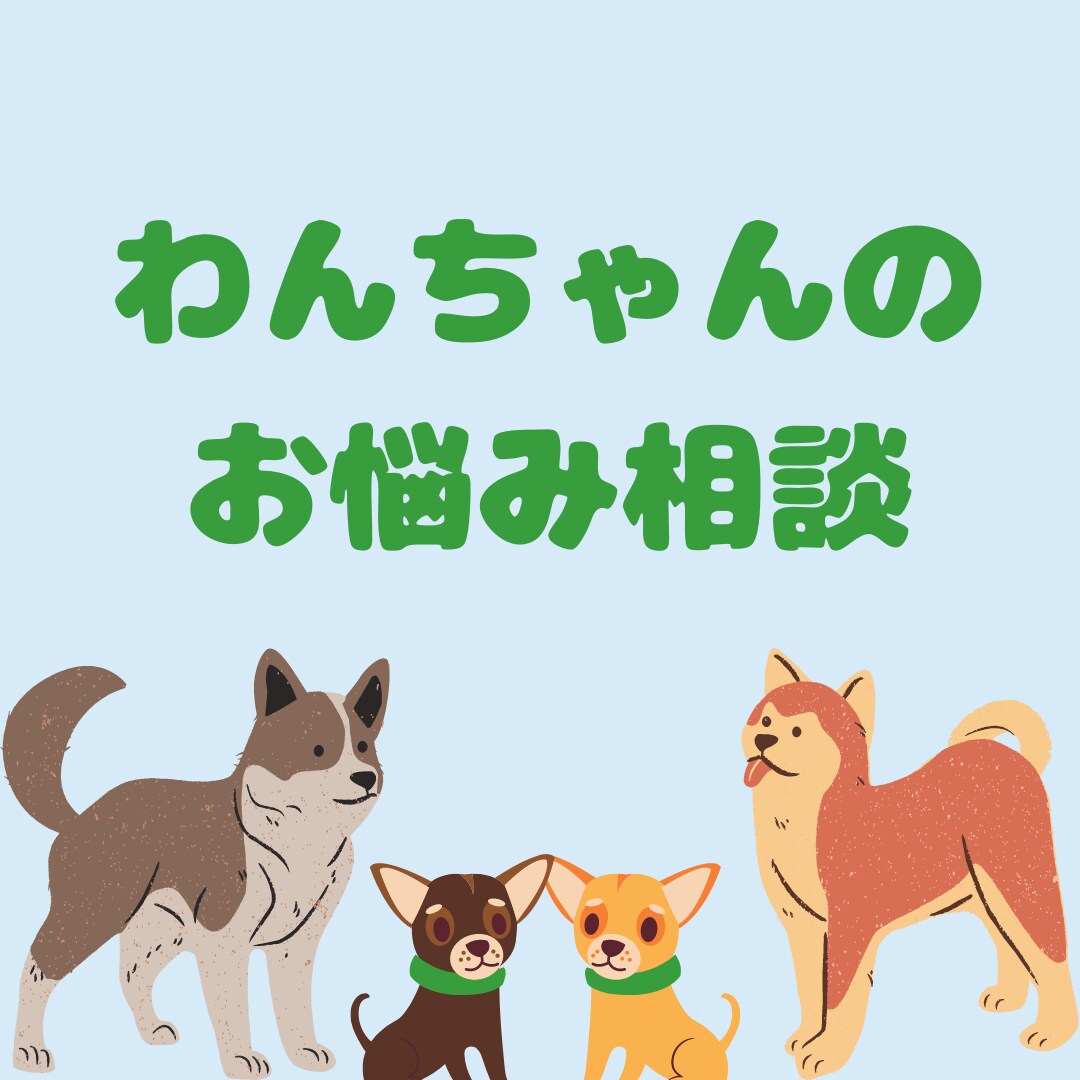 ご家族様と愛犬にあったお悩みカウンセリング致します 厳しいしつけはムリ！そんな方にオススメです。 イメージ1