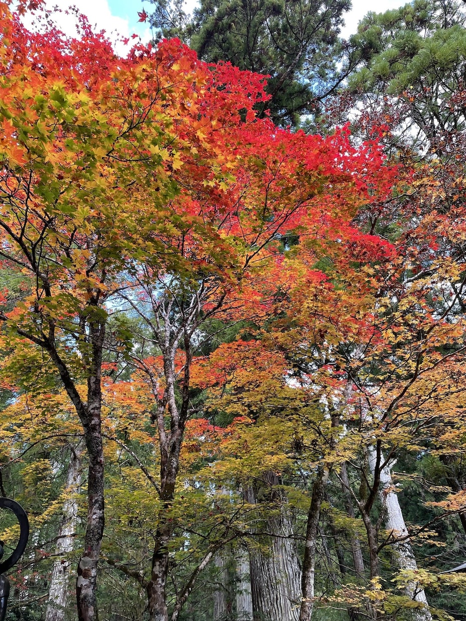 怒りにフォーカスして解消のお手伝いをします 抱えている”怒り”を解消し、楽になりませんか？ イメージ1