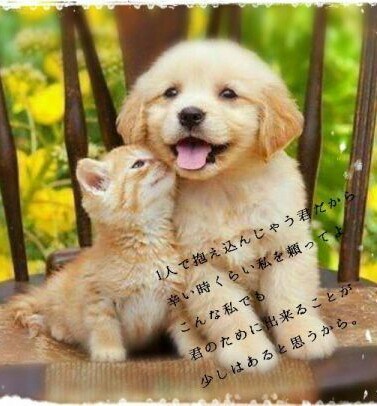 1時間ワンコイン相談、愚痴、不満、悩み聞きます 時間の許す限りトークルームにて沢山お話しましょう(^^) イメージ1