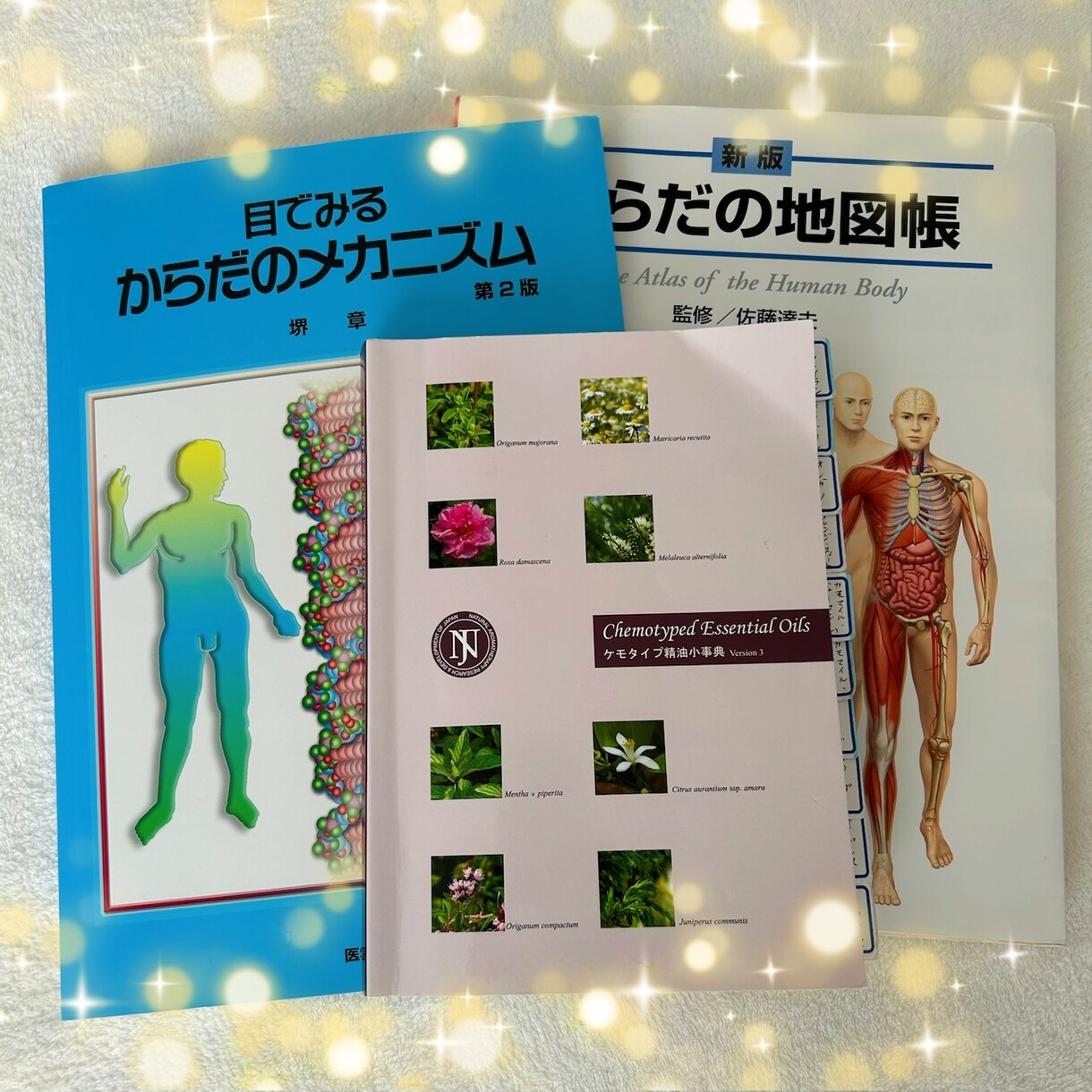現役セラピストがあなたの心に寄り添います 心理カウンセラー現役アロマセラピストによる傾聴セッション イメージ3