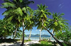 インド洋の秘宝、セイシェル旅行のアドバイスをします。 イメージ1