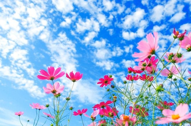 ちょっと聞いてほしいを叶えます 辛いこと楽しいこと、どんな話しでも聞きます イメージ1