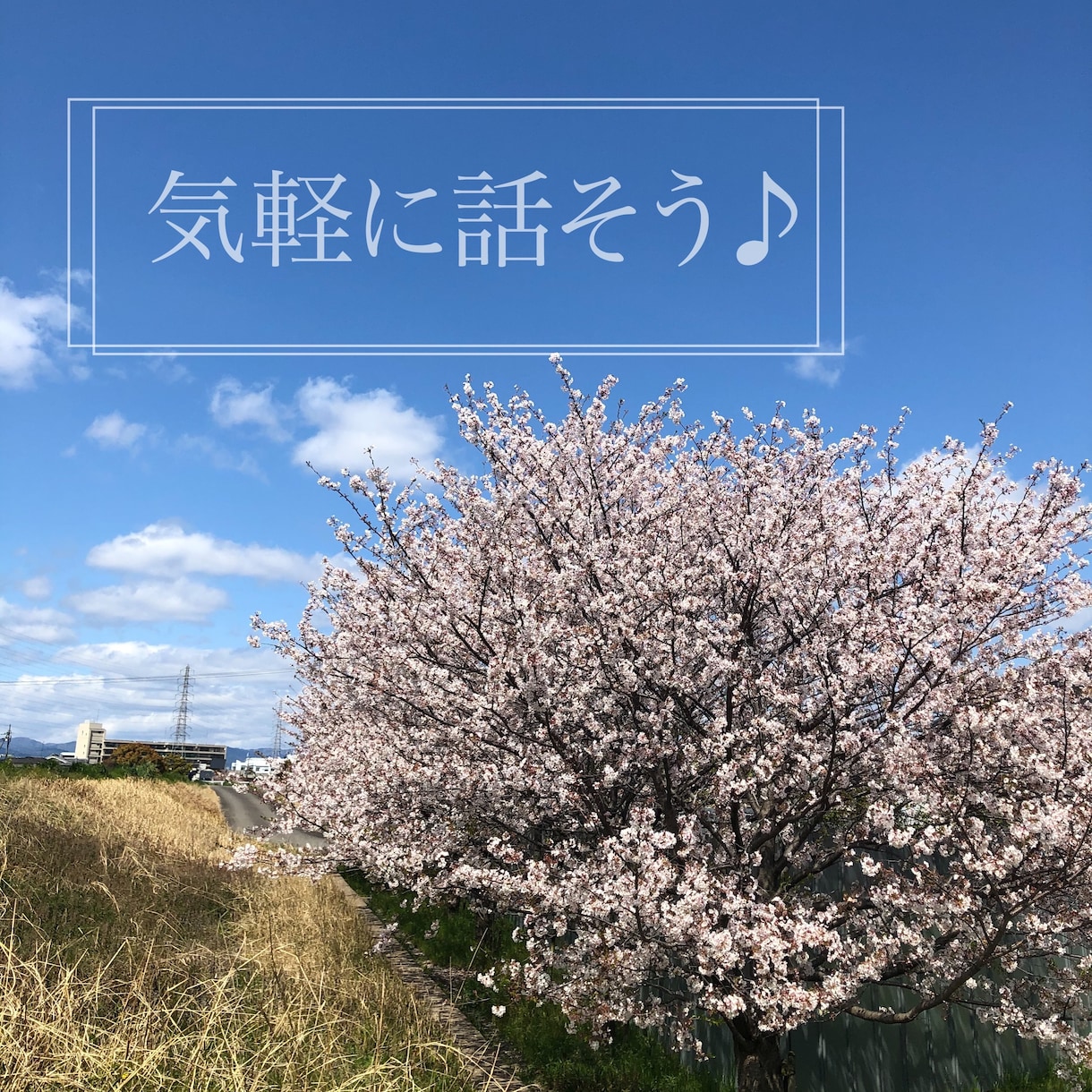 秘密厳守で受け止めます ポジティブ姿勢でお話し聞きます！ イメージ1
