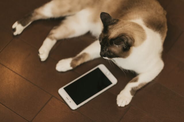 なぜか勝手に癒されて、また頑張れるコーチングします いつの間にか癒されるコーチング イメージ2