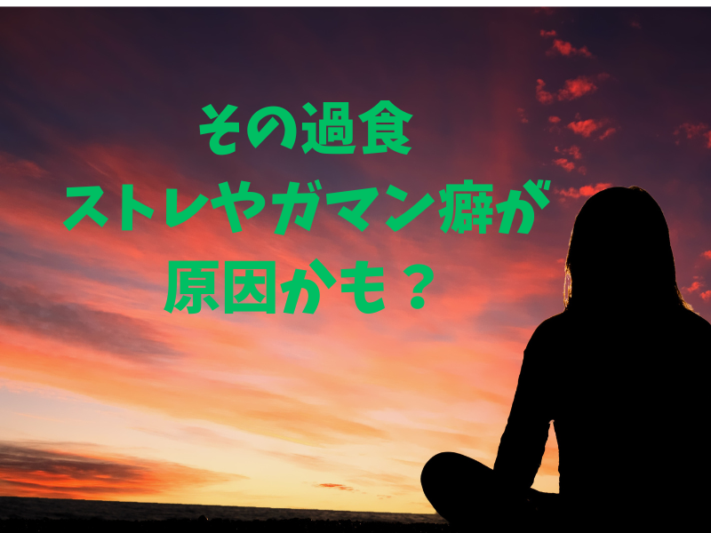 管理栄養士が過食、ストレス、人間関係何でも聞きます その過食、ストレスやガマンぐせが原因かも？改善法を考える イメージ1