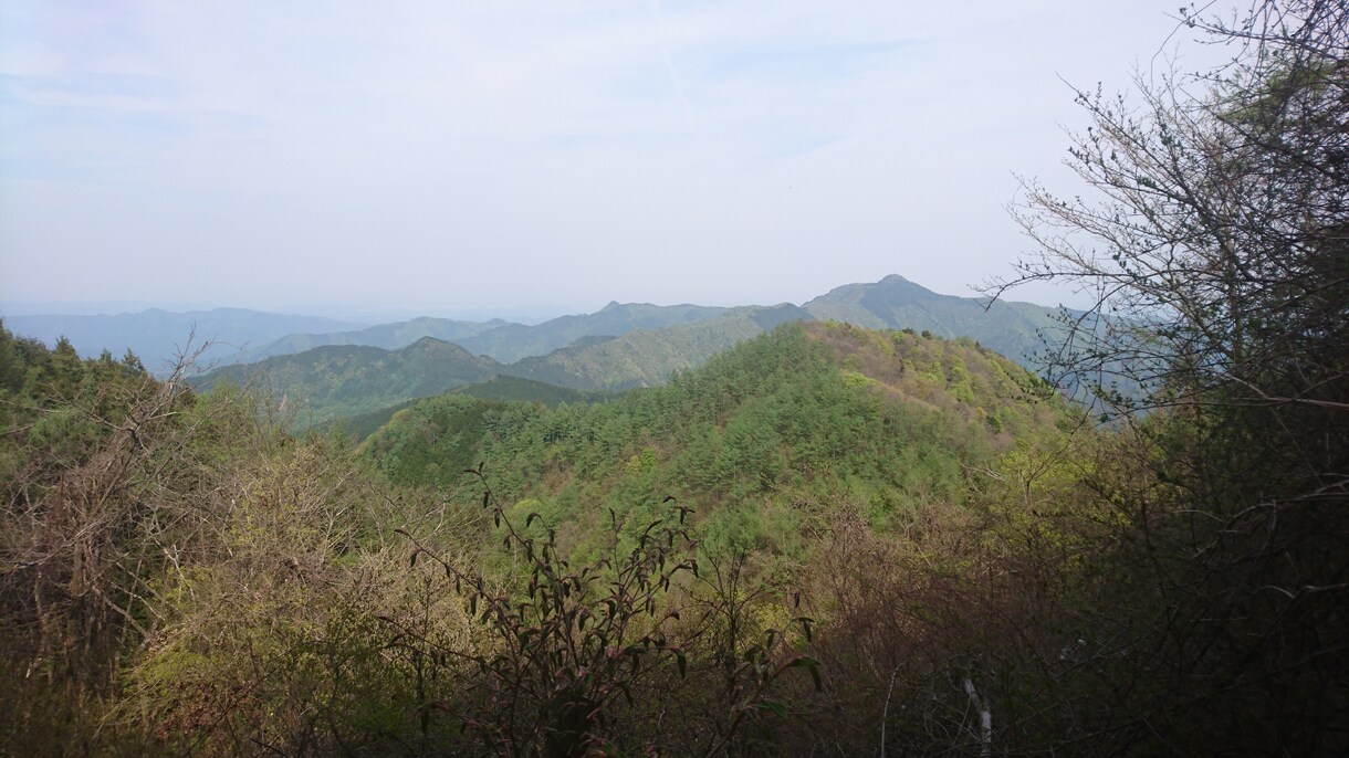 奥多摩へ、裏高尾の日帰り登山ご相談にのります 奥多摩、高尾山、南高尾、裏高尾の日帰り登山のご相談にのります イメージ6