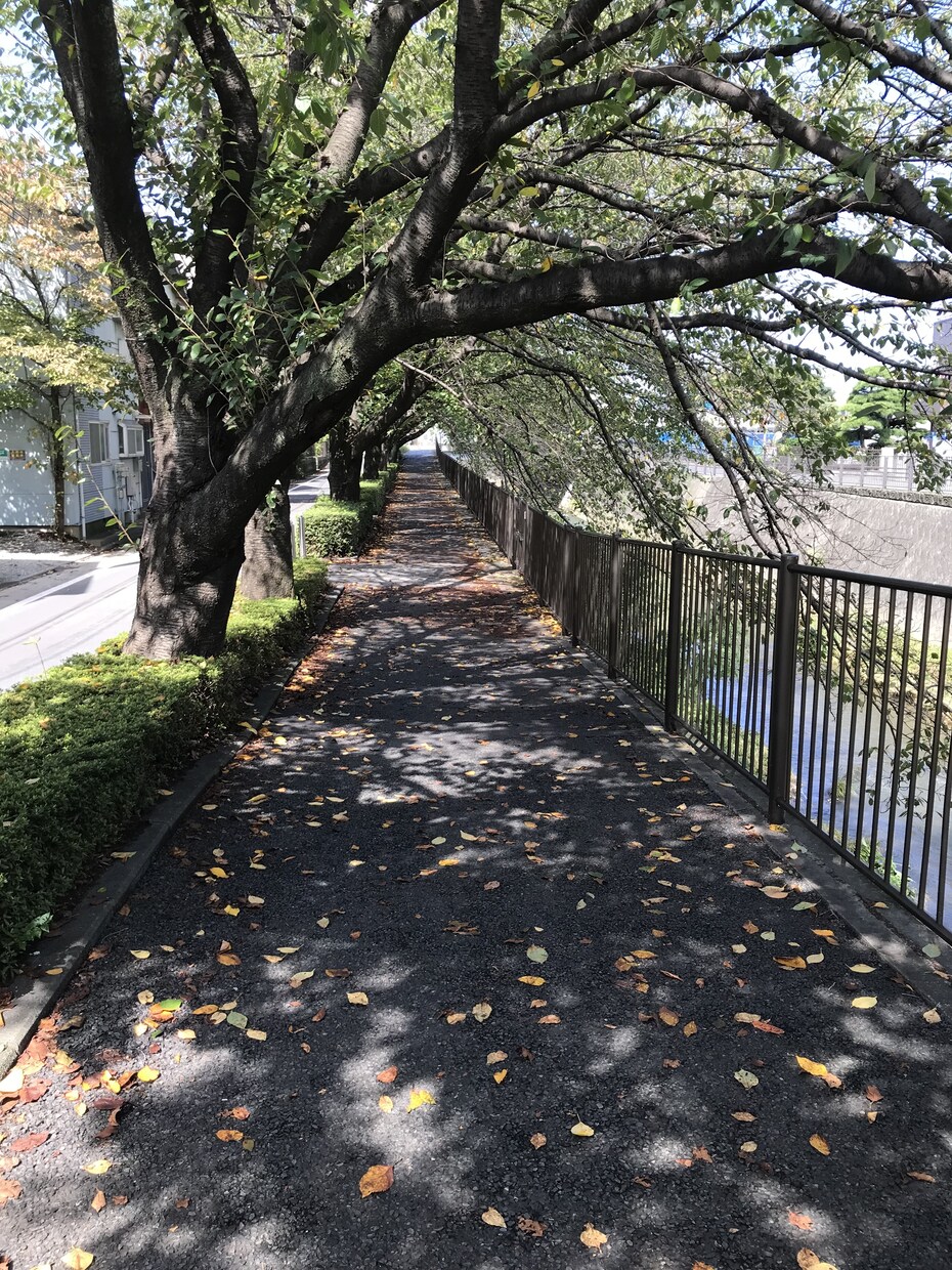 恋愛相談にのります 恋愛相談・離婚相談・おひとりさまの生き方相談お聞かせください イメージ1