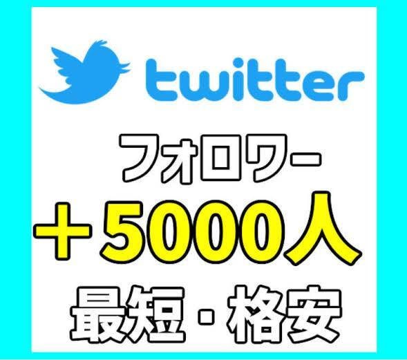 Twitterのフォロワー『5000人』増やします 1500円で+5000人！最大10万人まで増加できます！