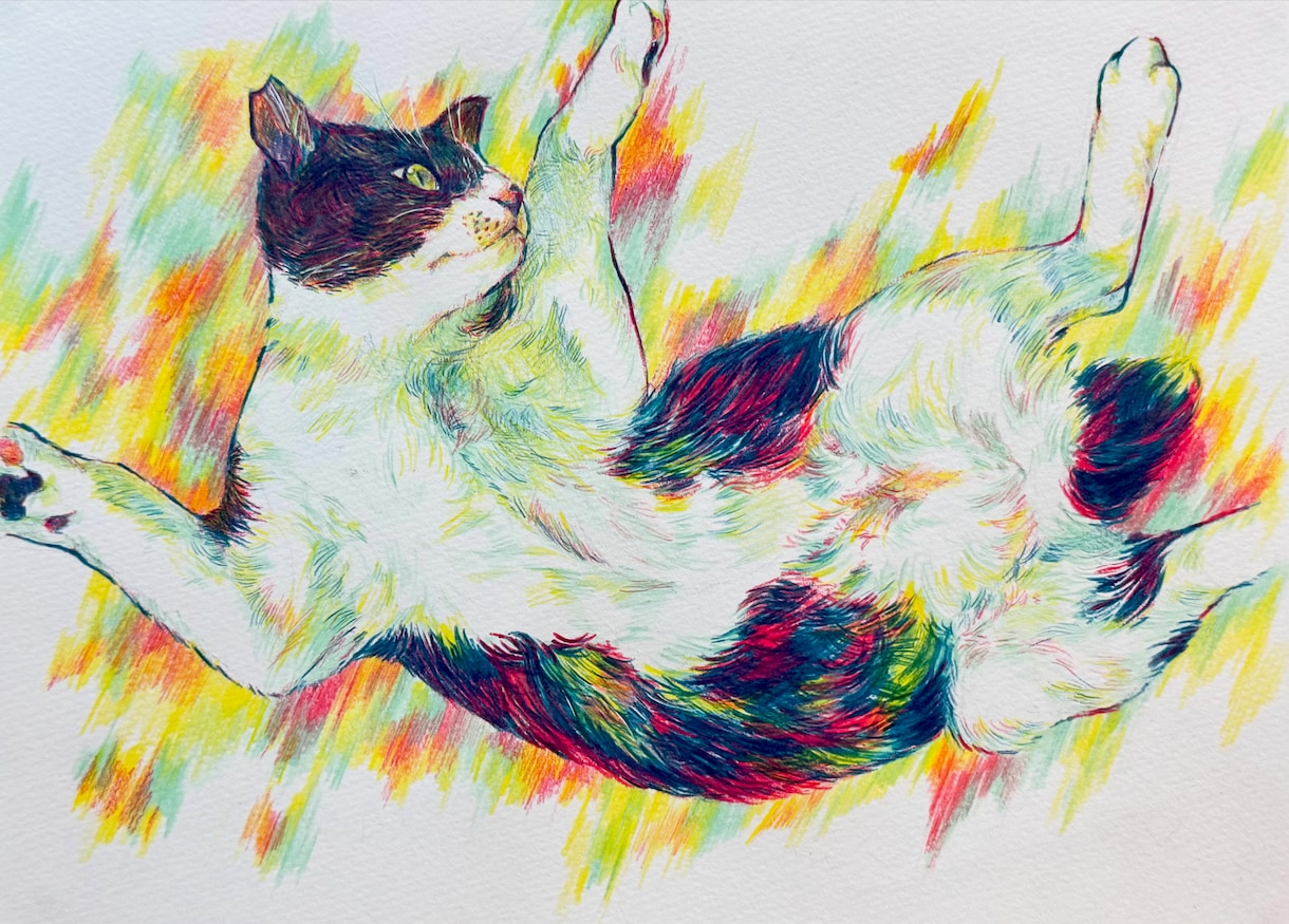 色鉛筆で大切なペットを描きます 記念日やプレゼントに！温かみのある絵を提供します♪ イメージ5