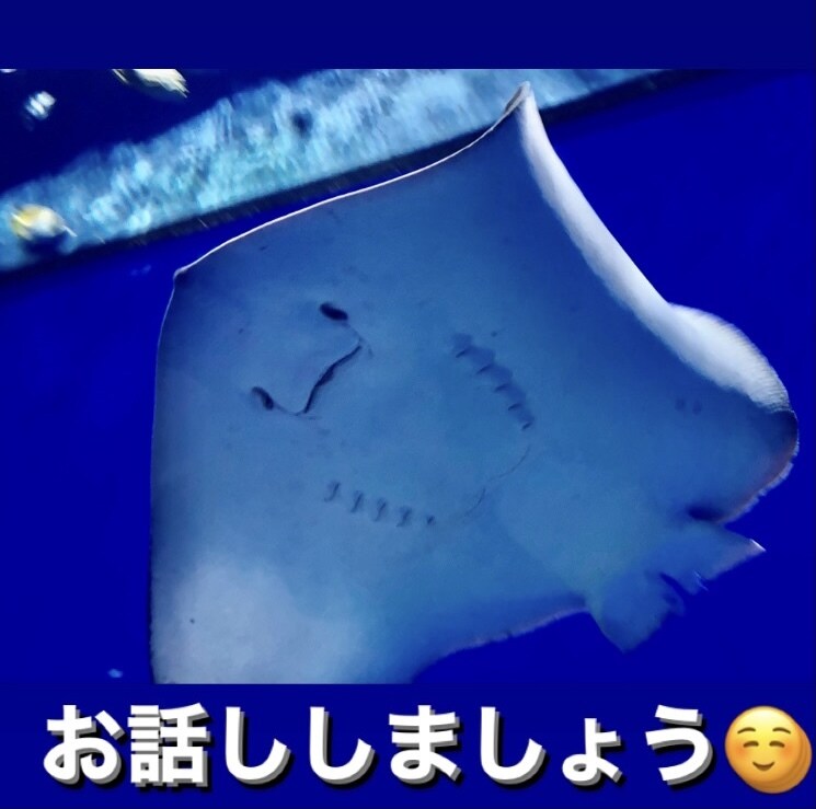 ワンコイン！30分愚痴.雑談などお話相手になります 知らない人の方が話しやすいこと、ありますよね！ イメージ1