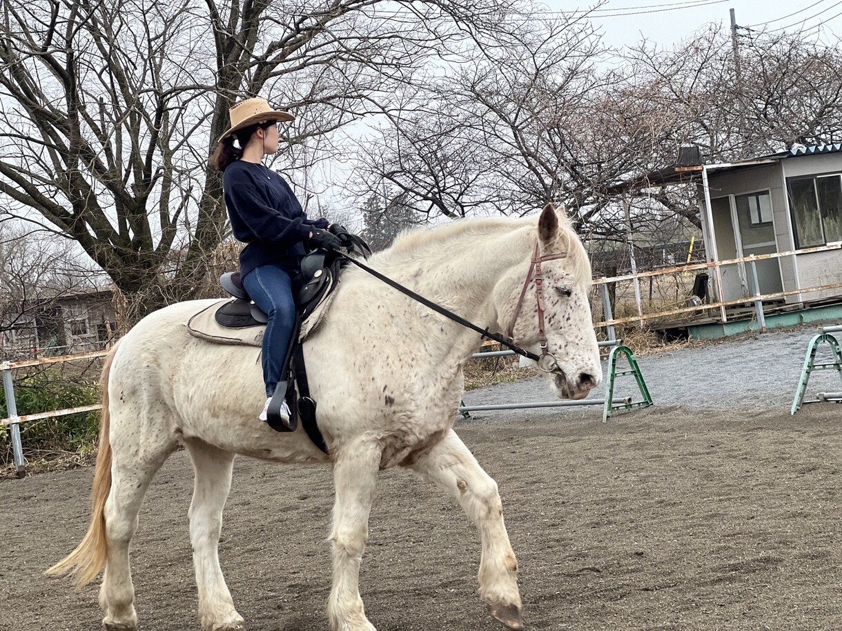 乗馬の動画撮影〜データ送付します 〜自分の騎乗姿勢の見直しに〜馬と仲良くなりましょう♪ イメージ1