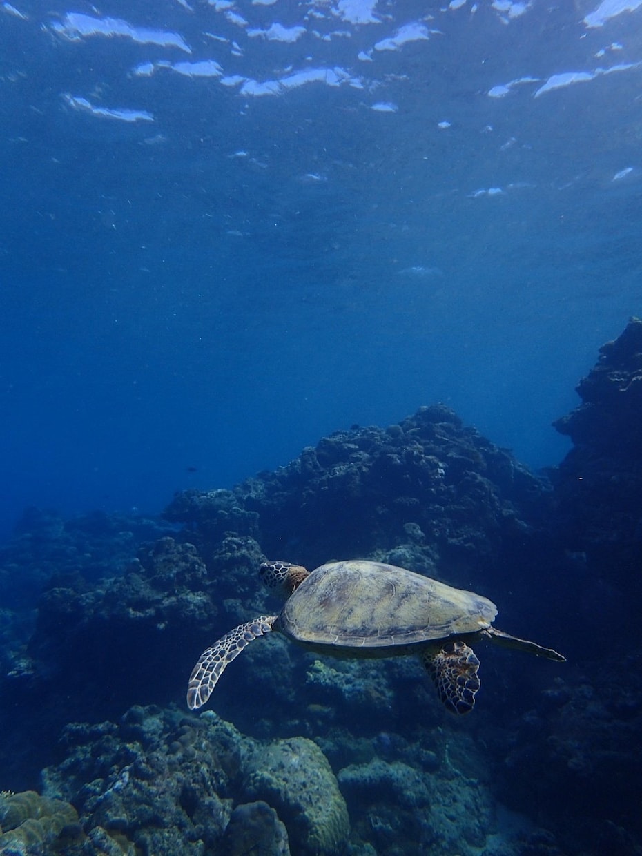 あなたの旅行のプランニングのお手伝いします ＼月2で旅行に行く旅のプロがあなたの旅をプロデュース／ イメージ4