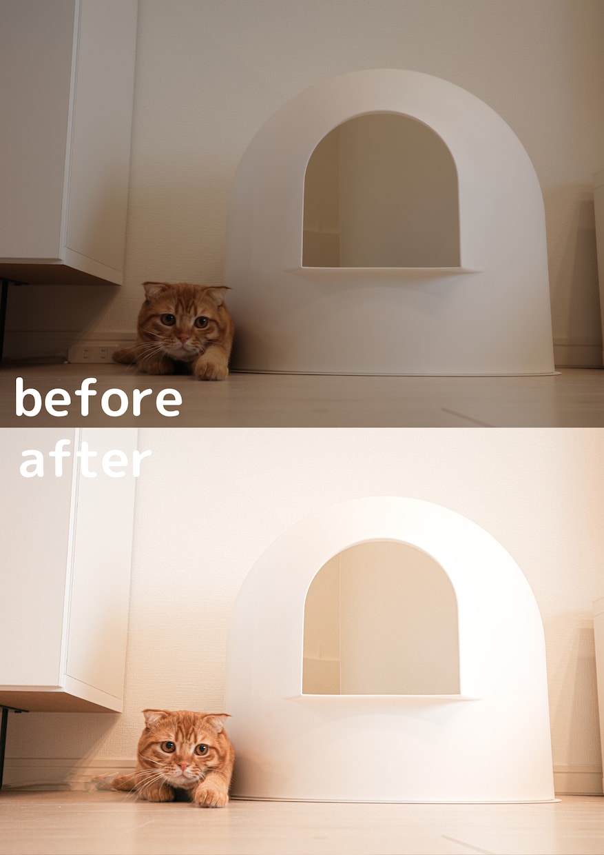 Photoshopで写真の色調補正、修正等承ります 最短即日！ご用命に沿った編集を！ イメージ3