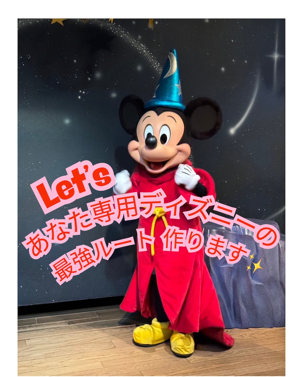 あなた専用のディズニー周り方・最強ルート作ります 【月１ディズニー勢が作る】初心者でも満足できる神プラン‼︎ イメージ1