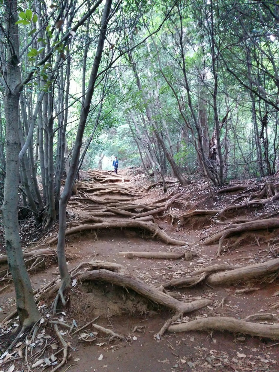 九星気学と手相と姓名判断でアドバイスします 生年月日と名前の画数手のひらの写真から分かるあなたの本質 イメージ1