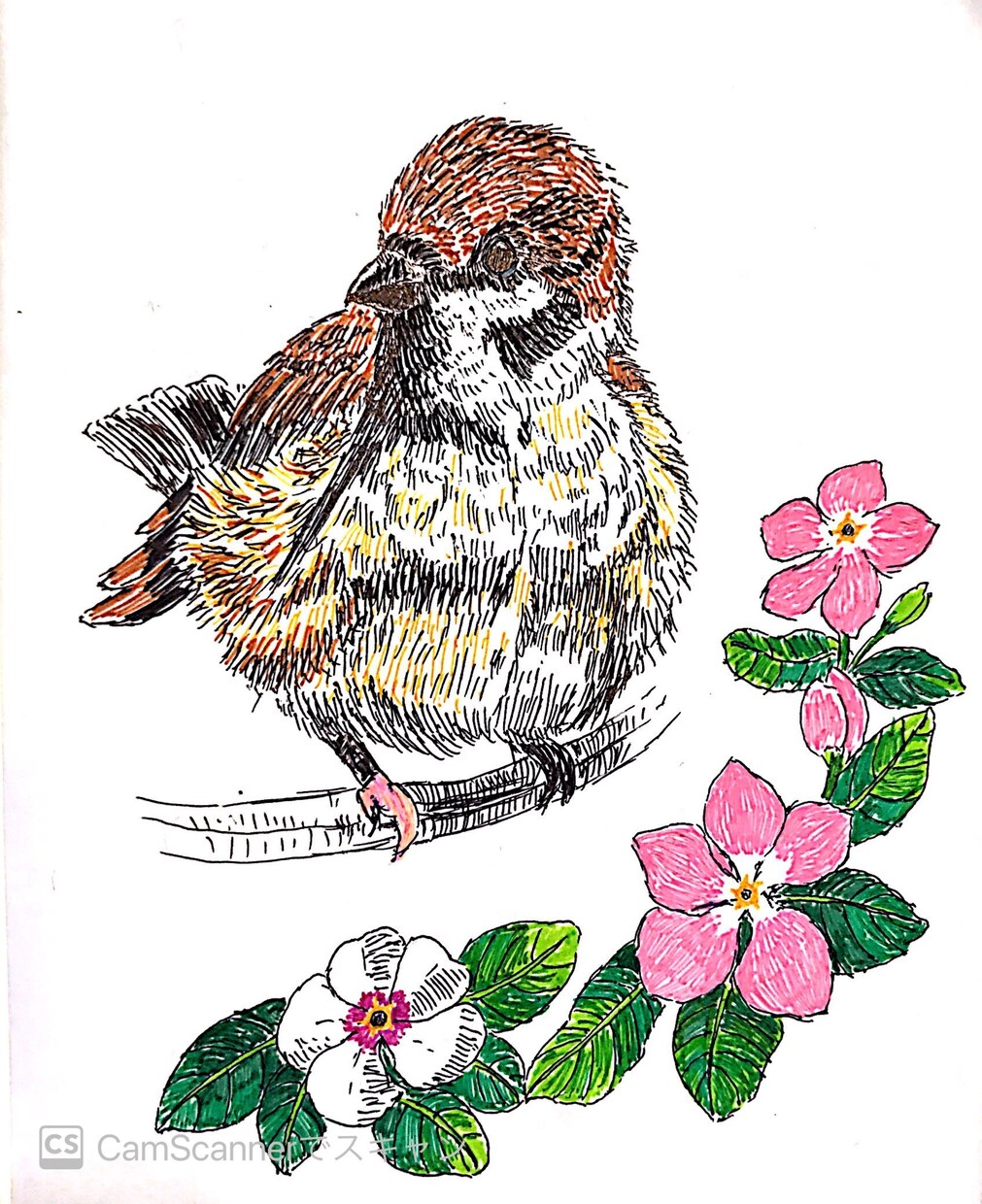 動植物や虫を描きます ボールペンならではの味わいをお楽しみください イメージ6