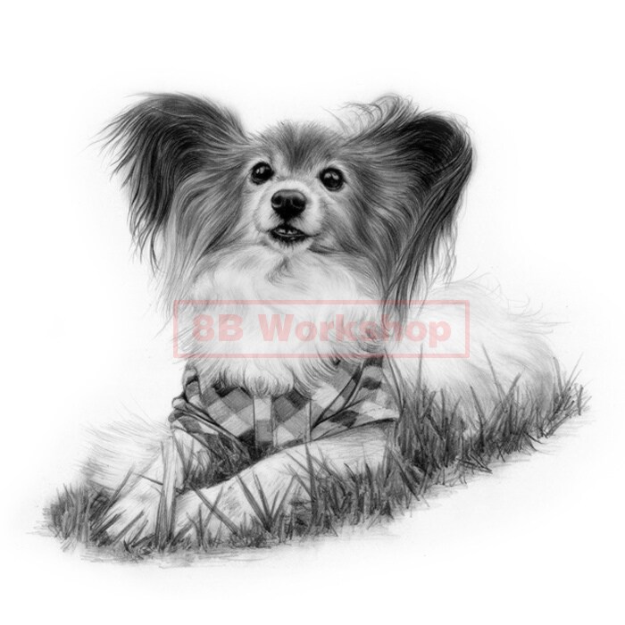 愛犬、愛猫を精細な鉛筆画で再現いたします 実務30年以上プロのイラストレーターが描きあげます イメージ8